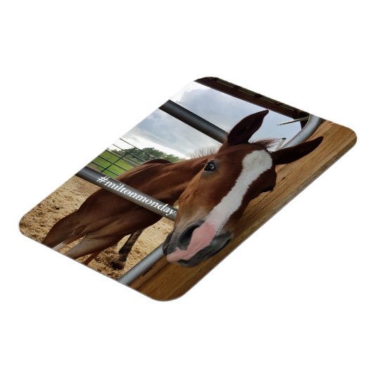 Milton Maandag Magnet Magneet (Linkerzijde)