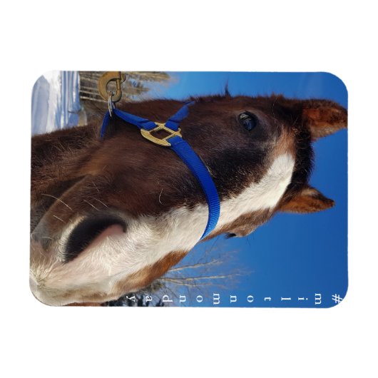 Milton Maandag Magnet Magneet (Horizontaal)