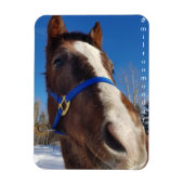 Milton Maandag Magnet Magneet (Verticaal)