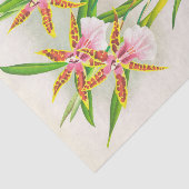 Miltonia Blunti (Orchidee) van Jean Jules Linden Tissuepapier (Detail)
