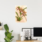 Miltonia candida Orchidee Poster (Thuiskantoor)