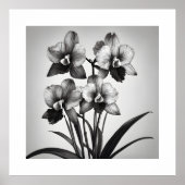 Miltonia Orchideeën II Monochromatische Art Prints (Voorkant)