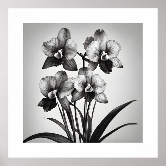 Miltonia Orchideeën II Monochromatische Art Prints (Voorkant)
