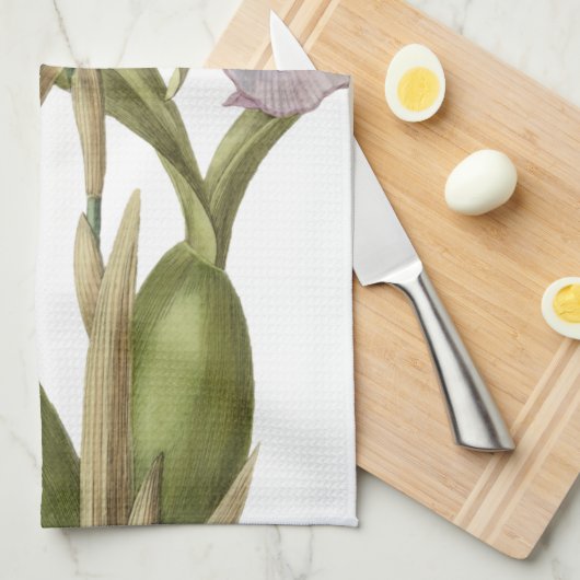 Miltonia Spectabilis orchidee botanische keuken Theedoek (Quarter Fold)