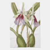 Miltonia Spectabilis orchidee botanische keuken Theedoek (Verticaal)