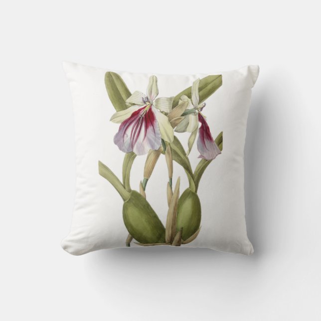 Miltonia Spectabilis orchidee botanische worstkuss Kussen (Voorkant)