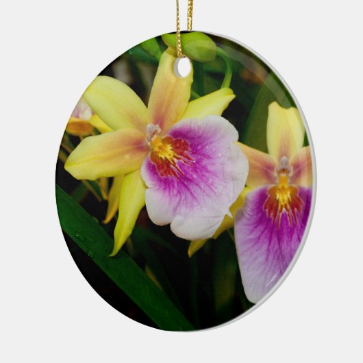 Miltonia Sunset Keramisch Ornament (Links)