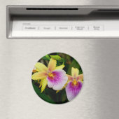 Miltonia Sunset Magneet (Insitu (Vaatwasser))