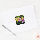 Miltonia Sunset Vierkante Sticker (Envelop)