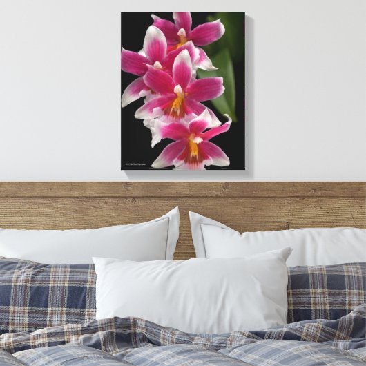 Miltonioda Sakura Canvas Afdruk (Insitu (Slaapkamer))