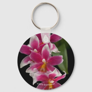 Miltonioda Sakura Sleutelhanger