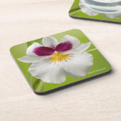 Miltoniopsis Roezlii (Pansy Orchids) Bier Onderzetter (Linkerzijde)