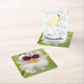 Miltoniopsis Roezlii (Pansy Orchids) Kartonnen Onderzetters (Insitu)