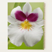 Miltoniopsis Roezlii (Pansy Orchids) Planner (Achterkant)