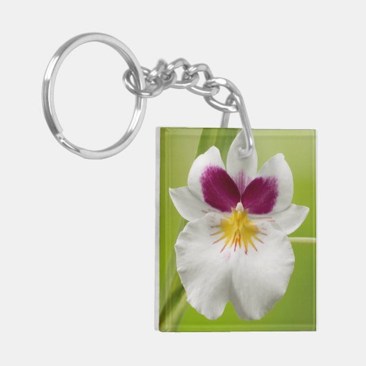 Miltoniopsis Roezlii (Pansy Orchids) Sleutelhanger (Voorkant Links)