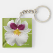 Miltoniopsis Roezlii (Pansy Orchids) Sleutelhanger (Achterkant)