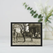 Milwaukee Mule en Farmer  Briefkaart (Staand voorkant)