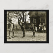 Milwaukee Mule en Farmer  Briefkaart (Voorkant)