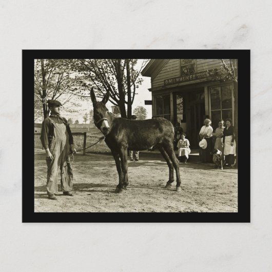 Milwaukee Mule en Farmer  Briefkaart (Voorkant)