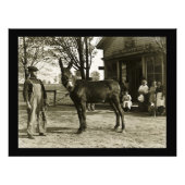 Milwaukee Mule en Farmer  Briefkaart Foto Afdruk (Voorkant)