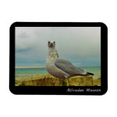 Milwaukee, Wisconsin Magneet (Horizontaal)