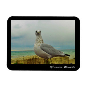 Milwaukee, Wisconsin Magneet