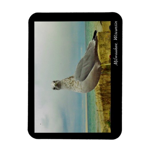 Milwaukee, Wisconsin Magneet (Verticaal)