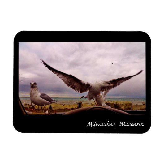 Milwaukee, Wisconsin Magneet (Horizontaal)