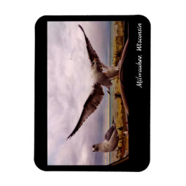 Milwaukee, Wisconsin Magneet