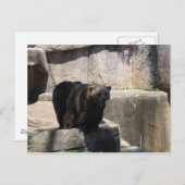 Milwaukee zoo beer briefkaart (Voorkant / Achterkant)