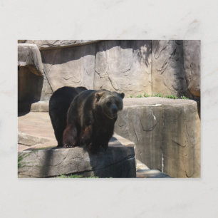 Milwaukee zoo beer briefkaart