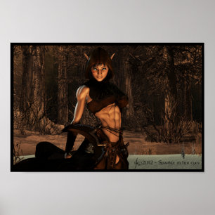 Mim de Assassin in de Wilde Poster