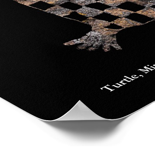 Mimbres Pottery Design Poster (Hoek)