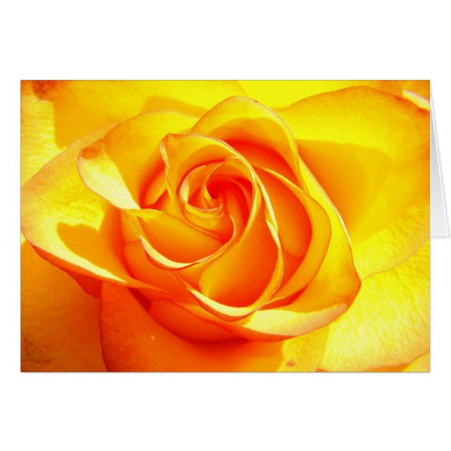 Mimi Roos (Voorkant Horizontaal)