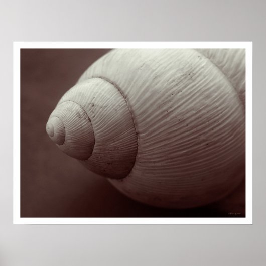 mimilesmile poster (Voorkant)