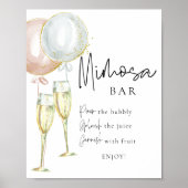 Mimosa Bar Roze & Blauw Ballon Geslacht onthullen Poster (Voorkant)
