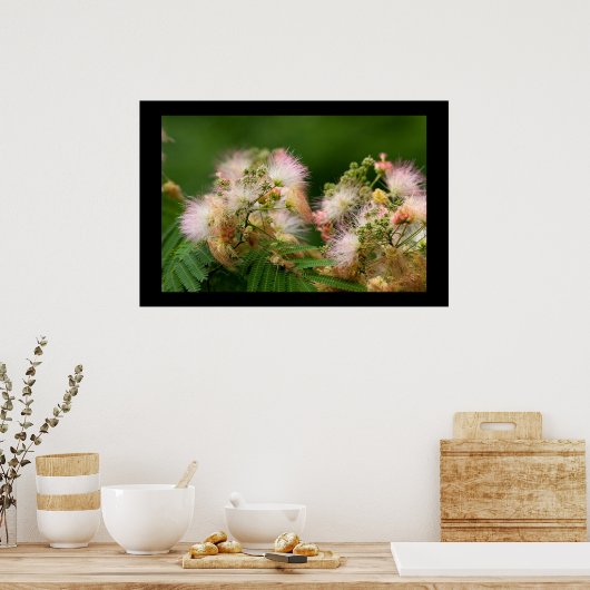 Mimosa Blossom Poster (Keuken)