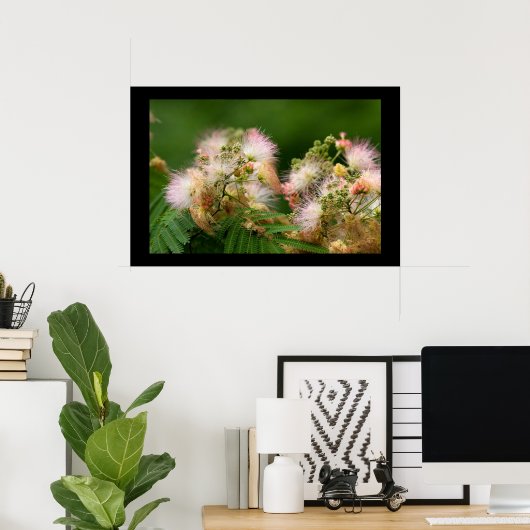 Mimosa Blossom Poster (Thuiskantoor)