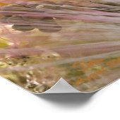 Mimosa Blossom Poster (Hoek)