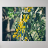 Mimosa-boom met gele bloemen poster (Voorkant)