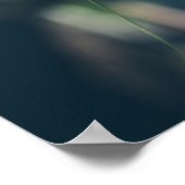 Mimosa-boom met gele bloemen poster (Hoek)