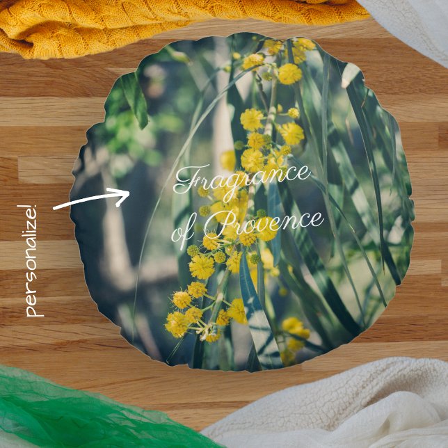 Mimosa-boom met gele bloemen rond kussen (Creator heeft geüpload)