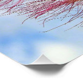 Mimosa-boom met roze bloemen Poster (Hoek)