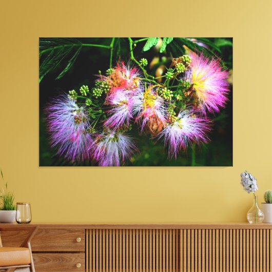 Mimosa boombloesems canvas afdruk (Insitu (Woonkamer))