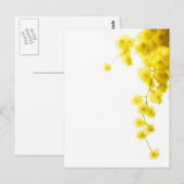 Mimosa Briefkaart (Voorkant / Achterkant)