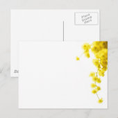 Mimosa Briefkaart (Voorkant / Achterkant)