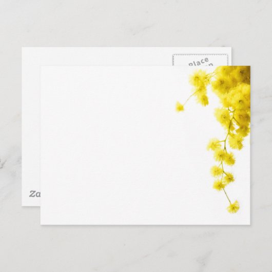 Mimosa Briefkaart (Voorkant / Achterkant)