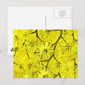 Mimosa Briefkaart (Voorkant / Achterkant)