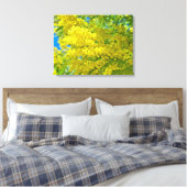 Mimosa Gele Bloem Bloemige Botanische Fotografie Canvas Afdruk (Insitu (Slaapkamer))