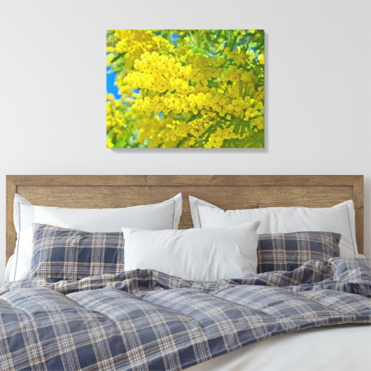 Mimosa Gele Bloem Bloemige Botanische Fotografie Canvas Afdruk (Insitu (Slaapkamer))